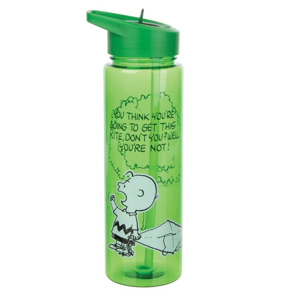 Peanuts Kite 24 oz. Insulated Water Bottle